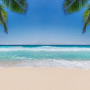 Meet your Posher, Yair